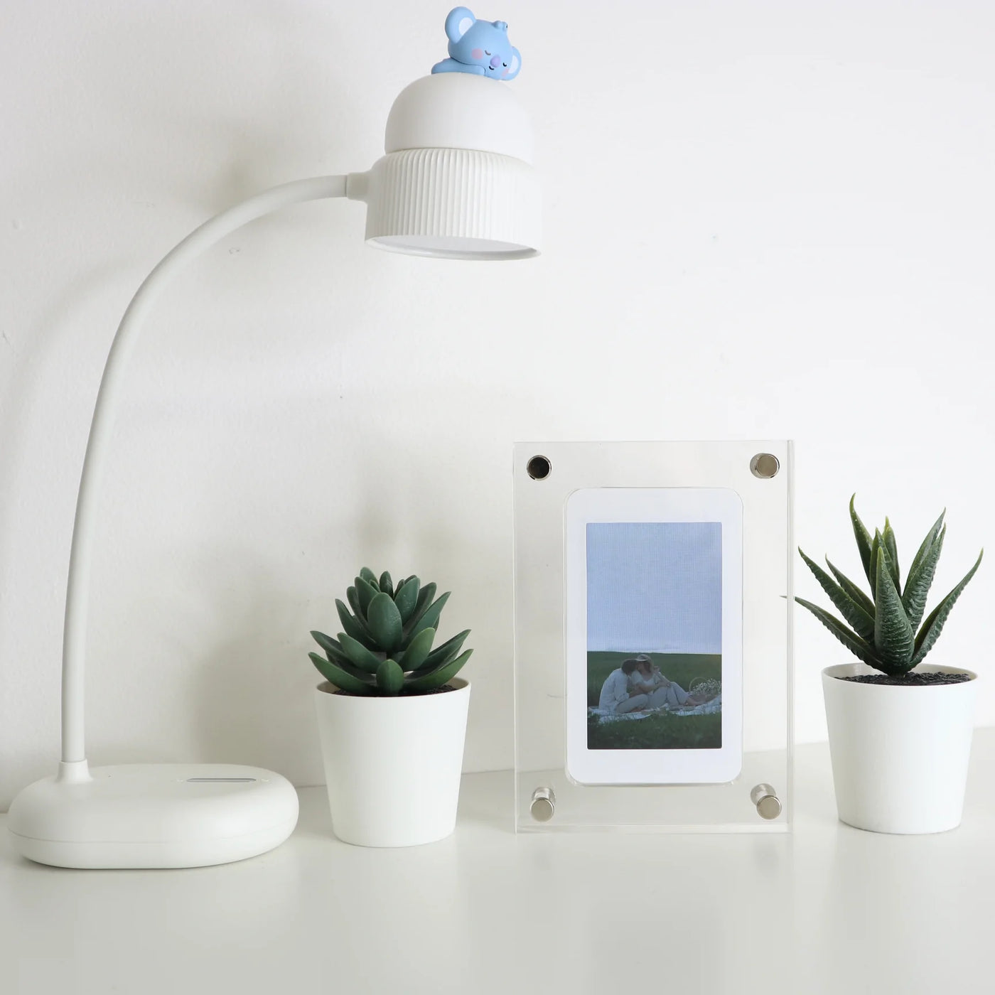 Picture Perfect Photo Frame